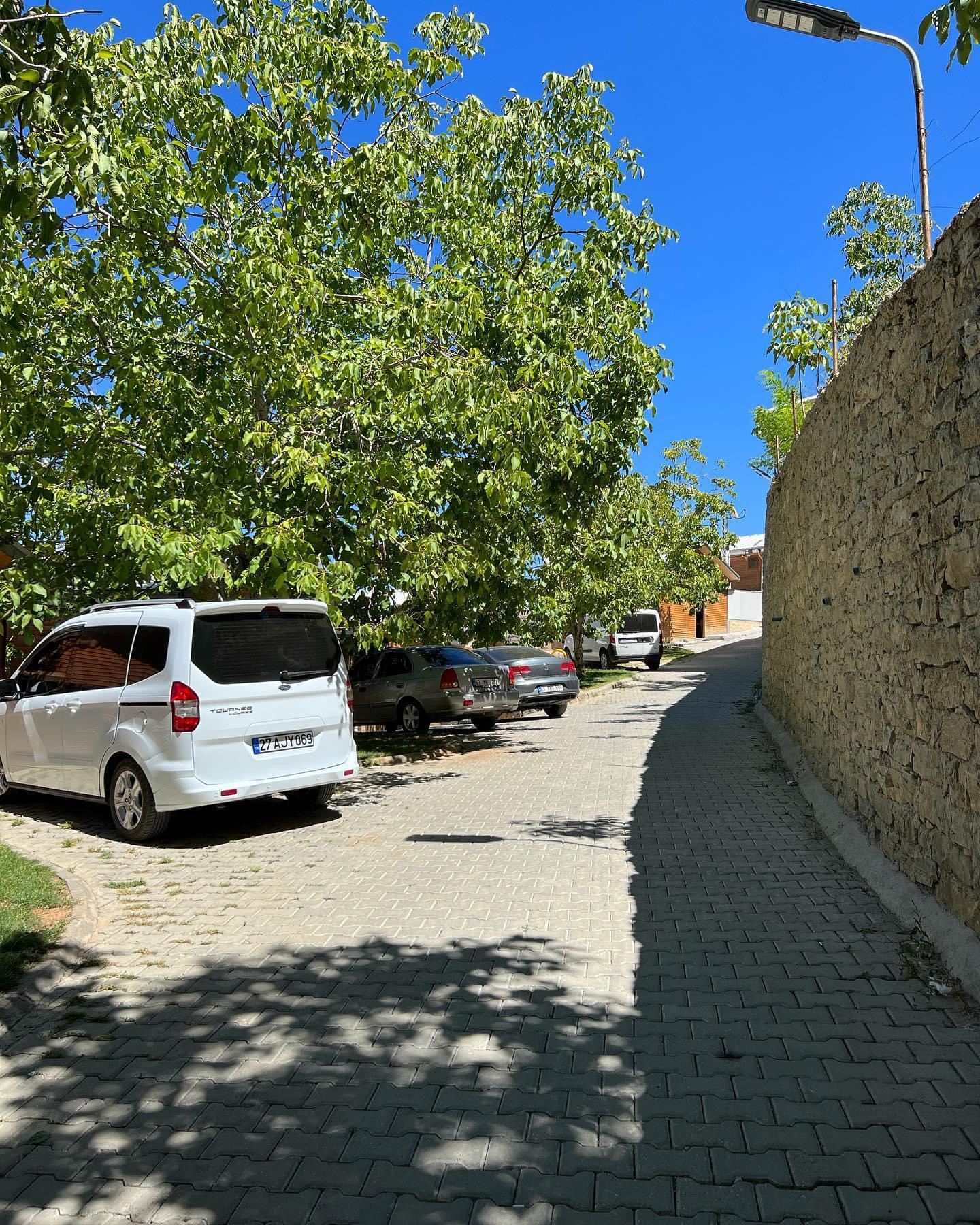 Bahçe 2 | Ertunç Yayla Evleri Çağlayancerit