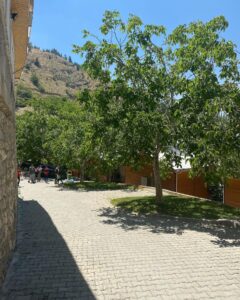 Foto | Ertunç Yayla Evleri Çağlayancerit