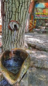 Foto Bungalov | Ertunç Yayla Evleri Çağlayancerit