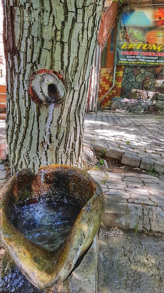 Foto Bungalov | Ertunç Yayla Evleri Çağlayancerit