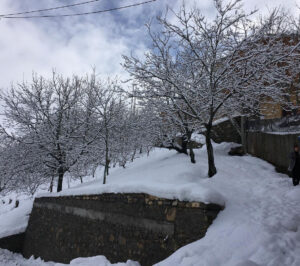 Kış Aktiviteleri | Ertunç Yayla Evleri Çağlayancerit