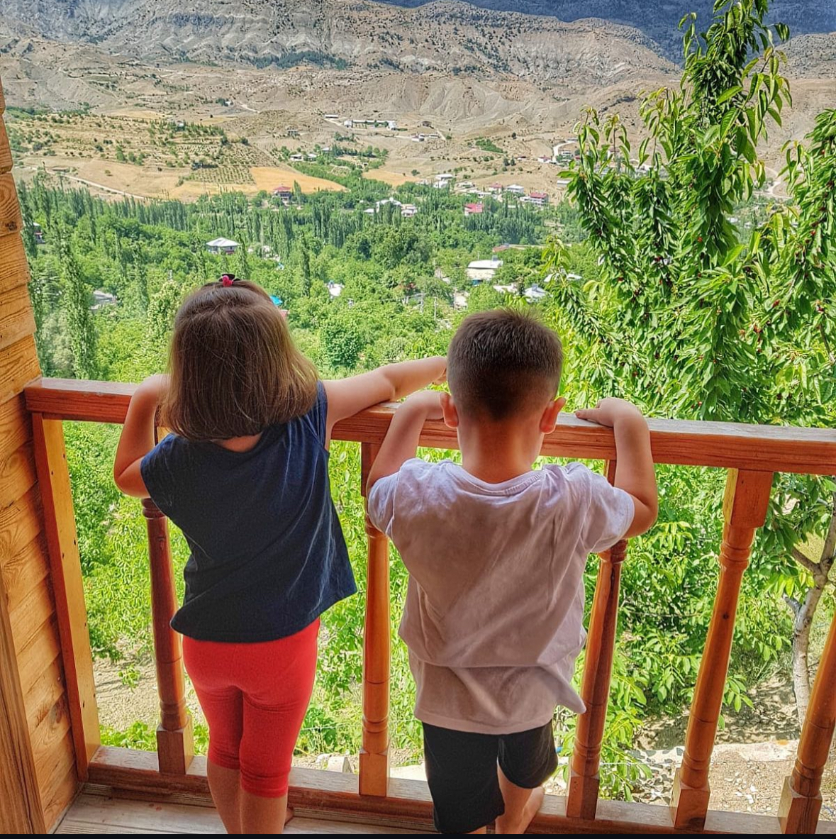 Foto Bungalov | Ertunç Yayla Evleri Çağlayancerit